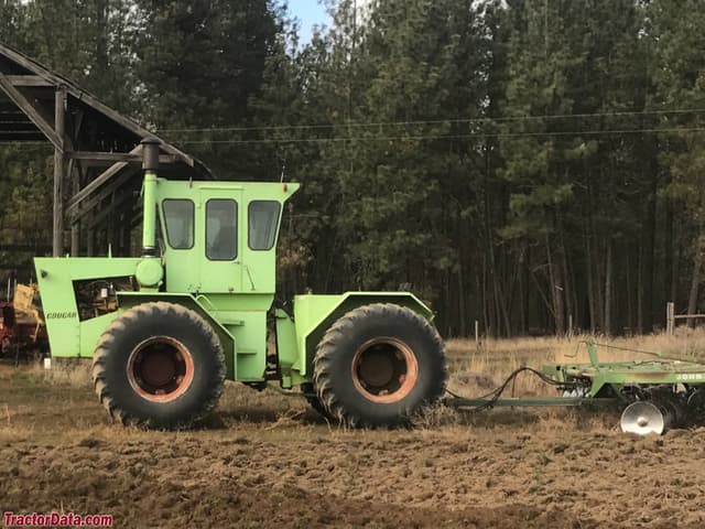 Cougar