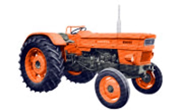 800